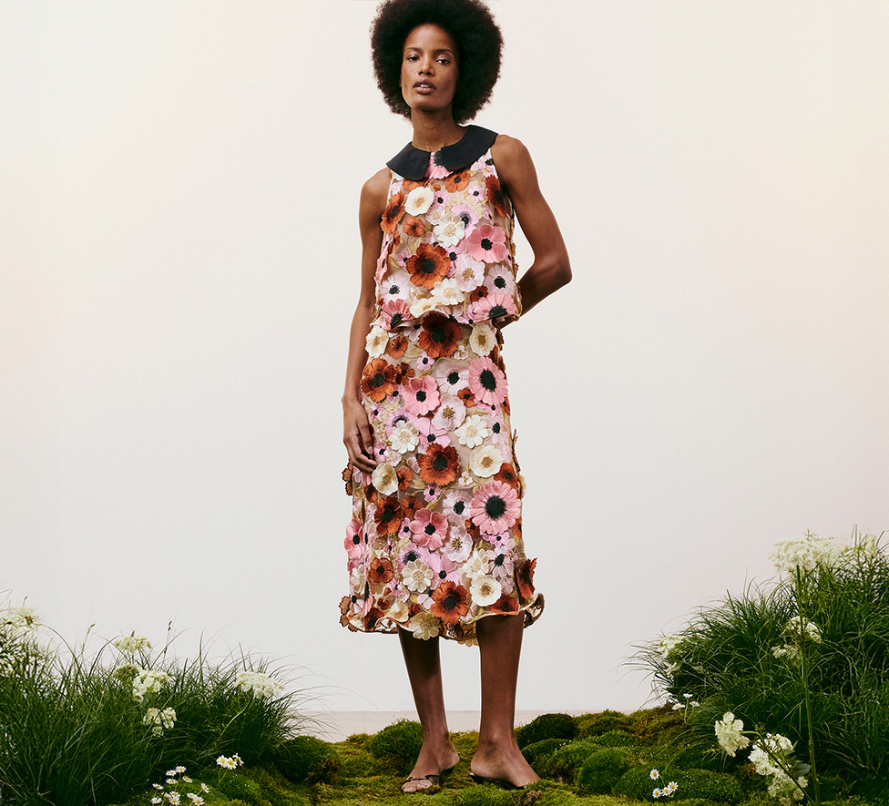 Dorothee Schumacher