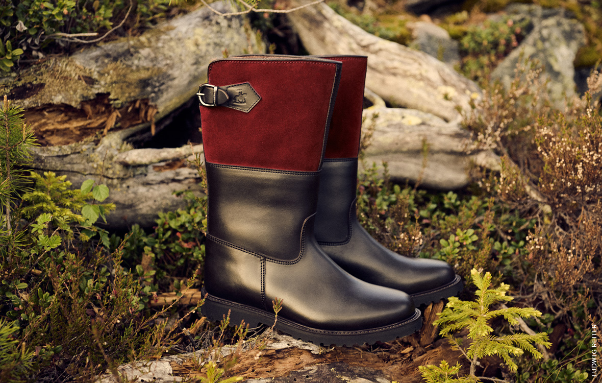  Bei dem Bild handelt es sich um ein Schmuckbild und es ist für den Inhalt nicht von Relevanz. 