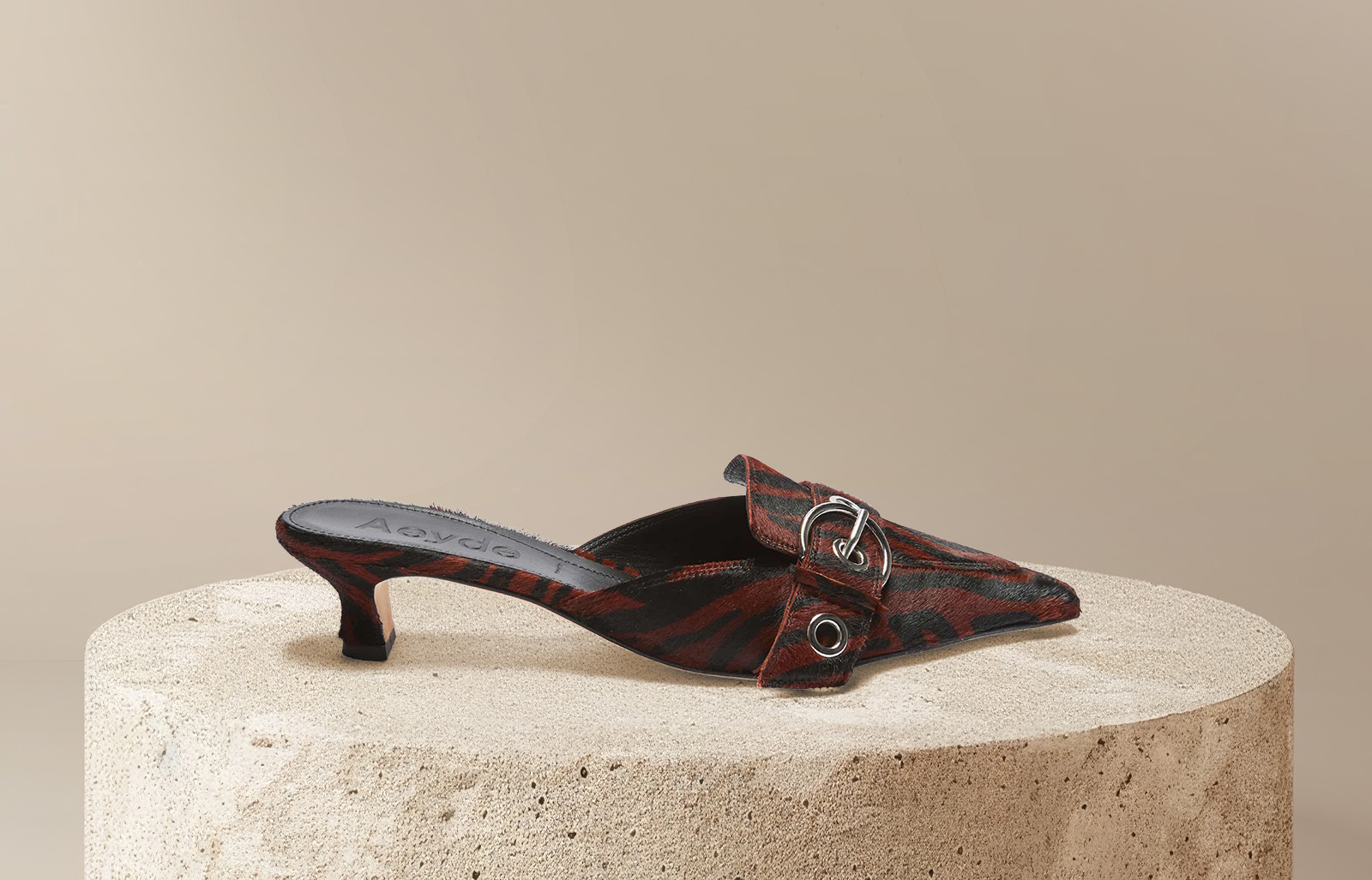  Bei dem Bild handelt es sich um ein Schmuckbild und es ist für den Inhalt nicht von Relevanz. 