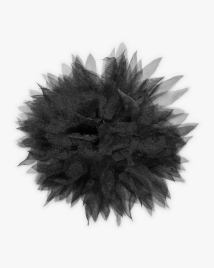 Schwarz