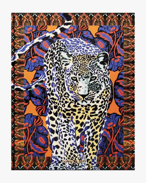 Assouline Arabian Leopard Buch bei LODENFREY