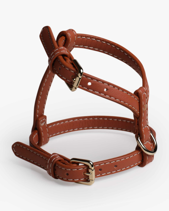 Gabrielle Geschirr L-XL 