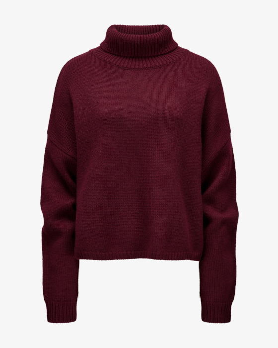 Rollkragenpullover Zerlina aus Cashmere