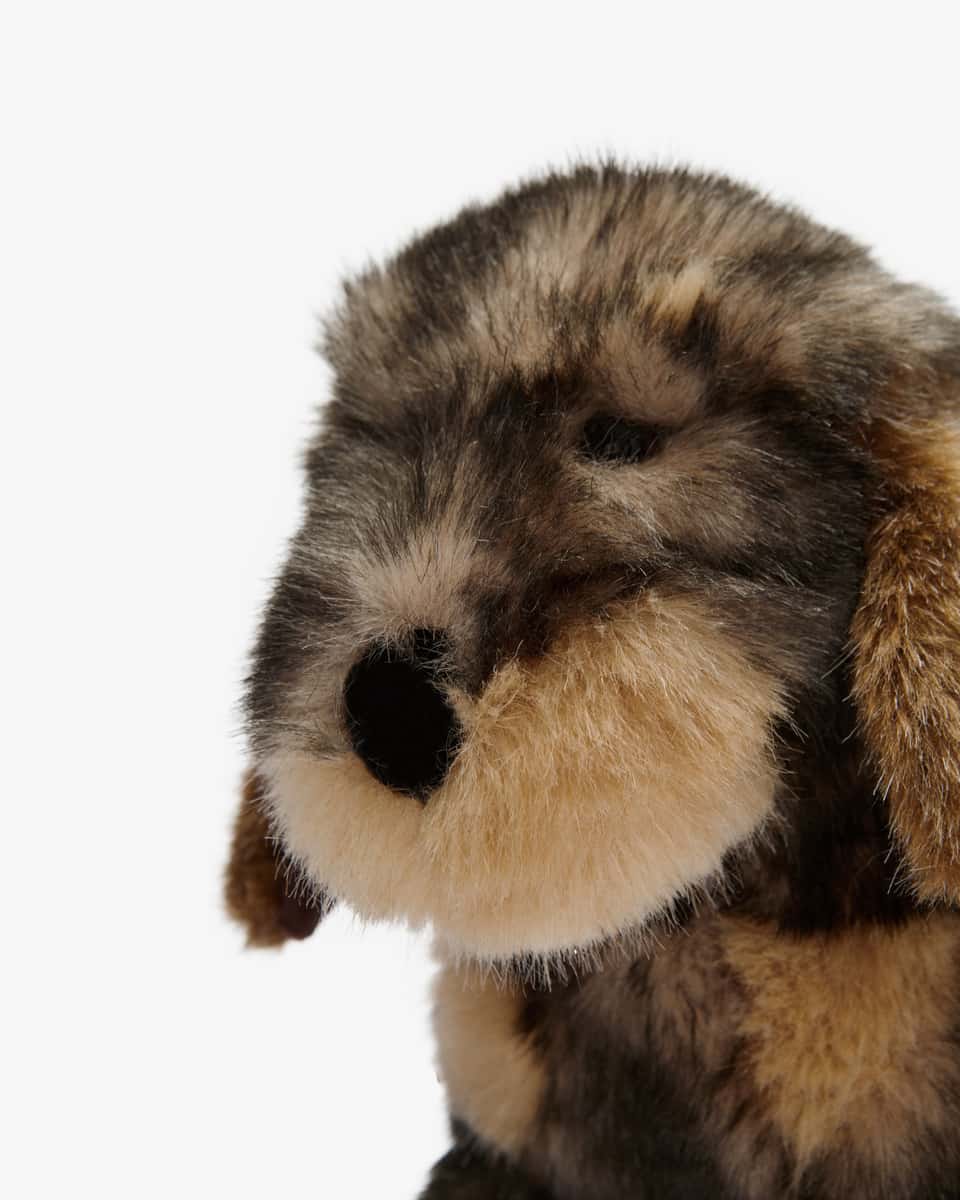 Image 2 for Rough-haired dachshund Moritz cuddly toy Unisize