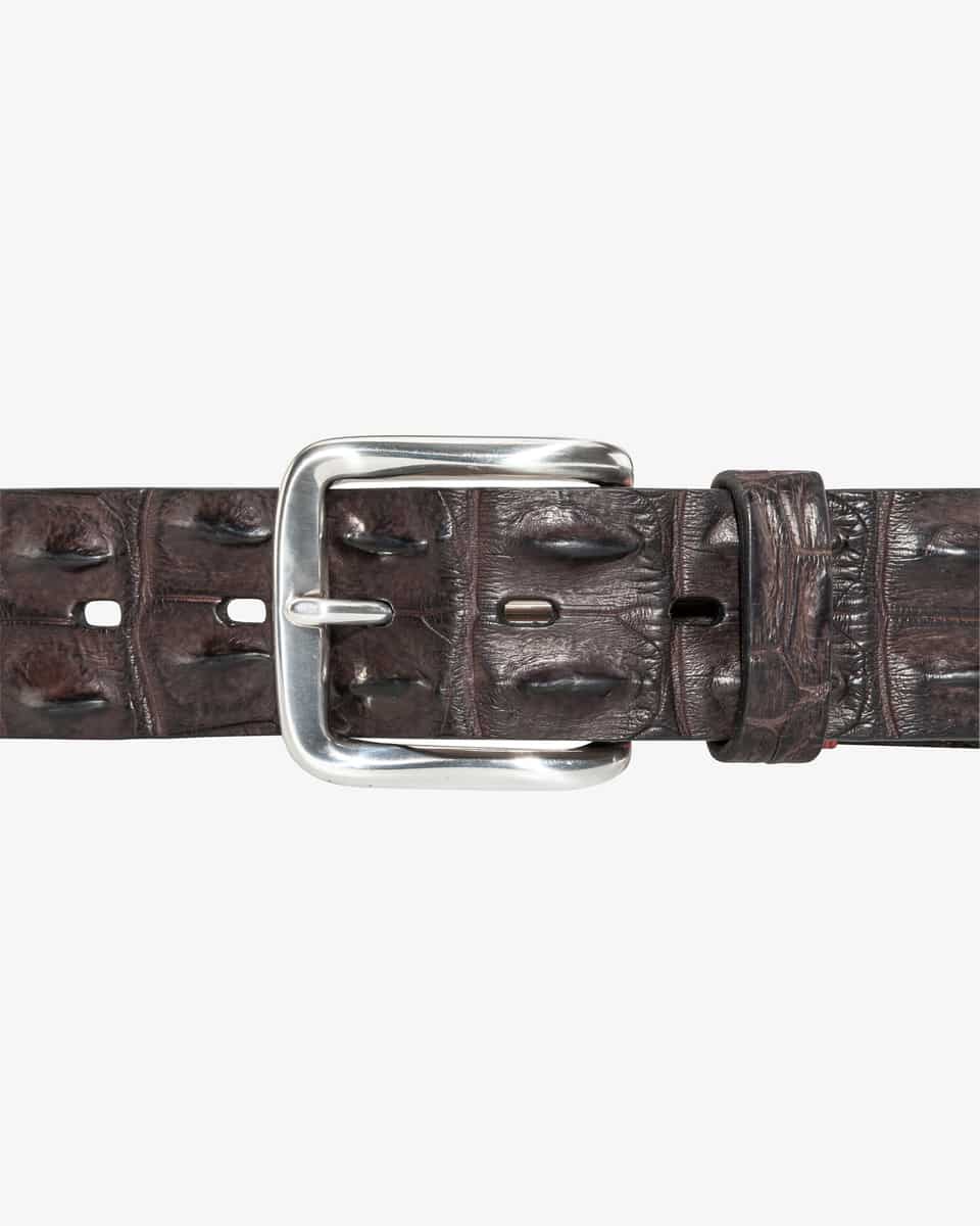 Image 3 for Crocodile leather belt 115