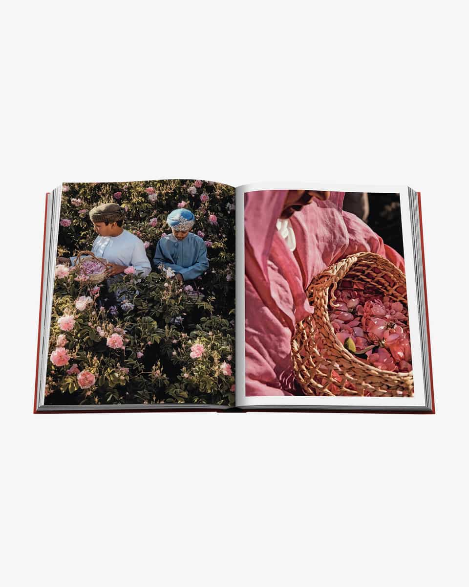 Image 4 for  Unisize