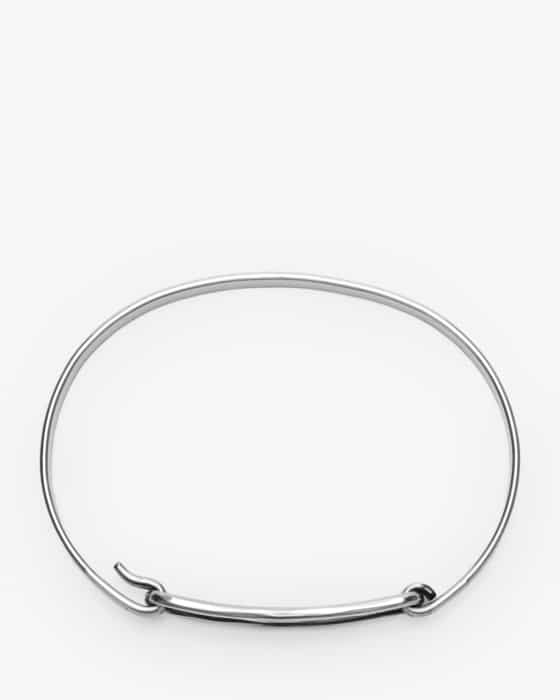 Band Bird Flight Armreif