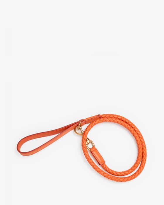 Ferdinando Hundeleine M 13mm 