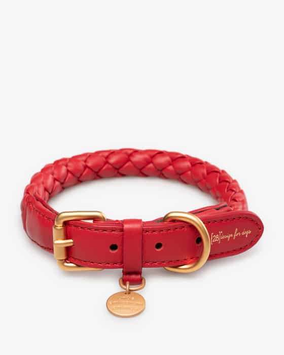 Ferdinando Hundehalsband XS-M 
